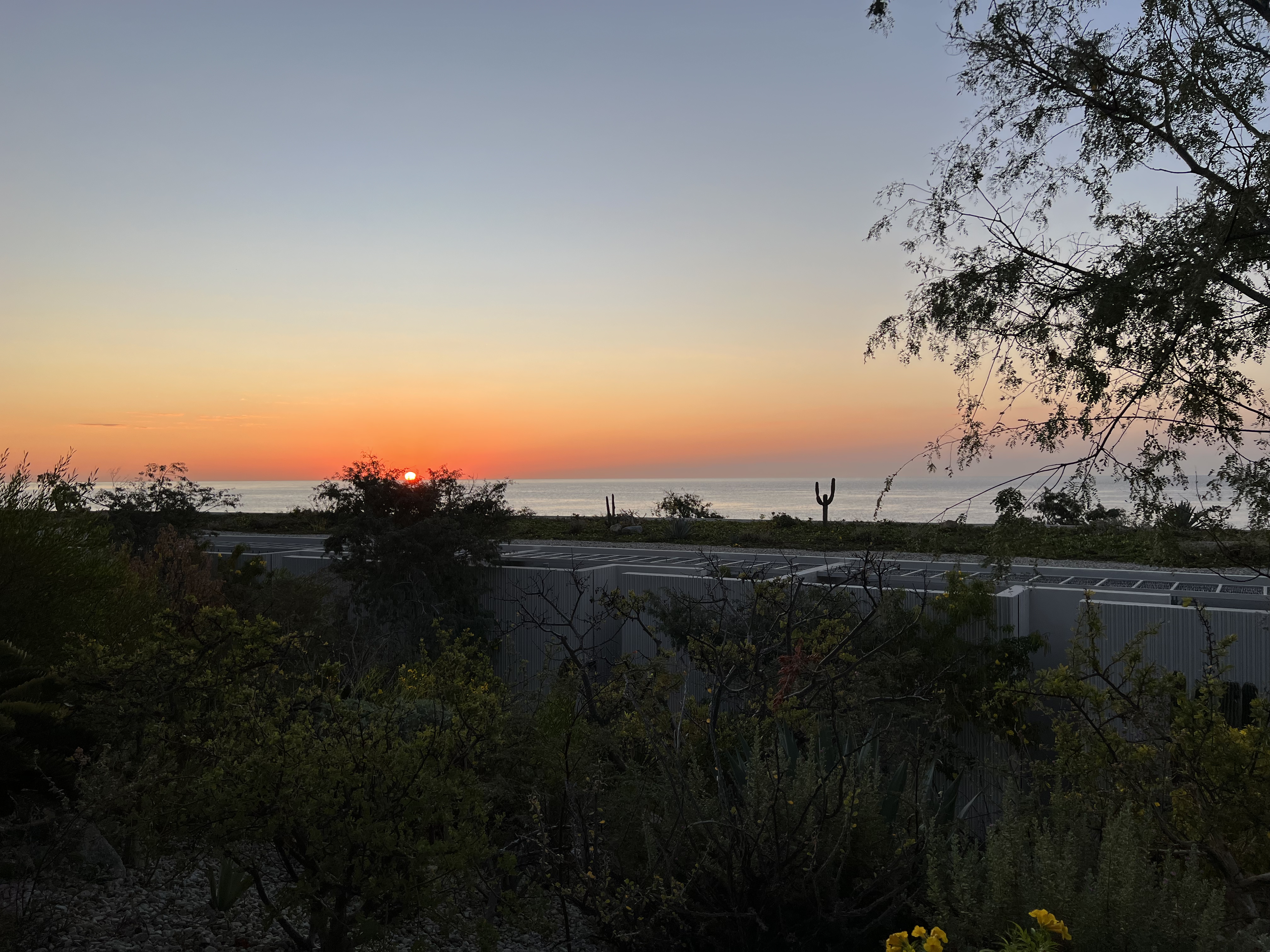 ./2024/13 - Cabo/IMG_4936.jpg